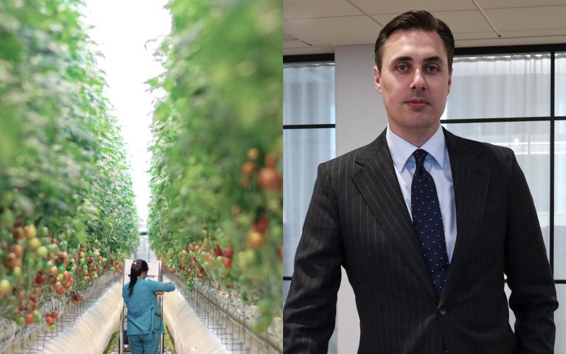 WA3RM AB builds a large-scale greenhouse of 217,000 square meters and becomes Sweden’s largest tomato producer